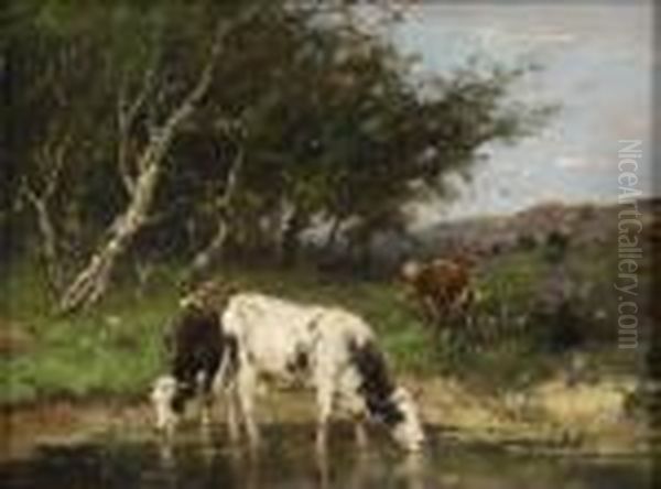 Kuhe An Einer Wasserstelle. Oil Painting by Johan Frederik Corn. Scherrewitz