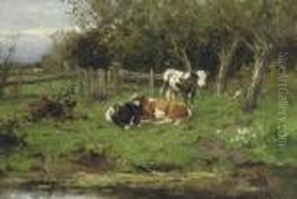 Calves By The Water-front Oil Painting by Johan Frederik Corn. Scherrewitz