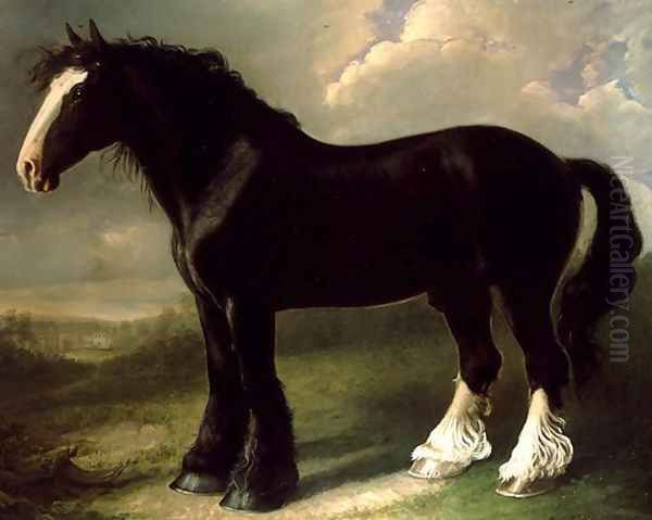 Old English Black Horse Oil Painting by William Shiels