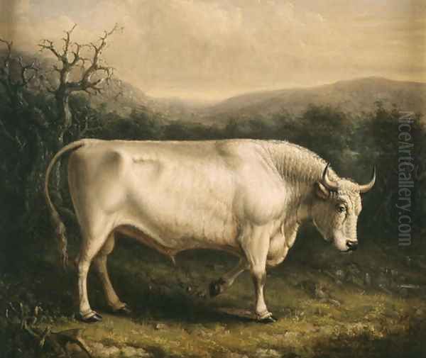 Chillingham Bull, c.1830 Oil Painting by William Shiels