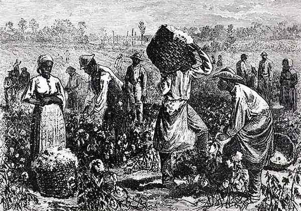 Slaves Picking Cotton on a Plantation Oil Painting by William Ludlow Sheppard