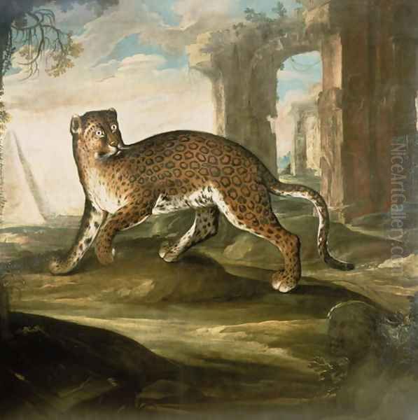 A Jaguar Oil Painting by Andrea Scacciati