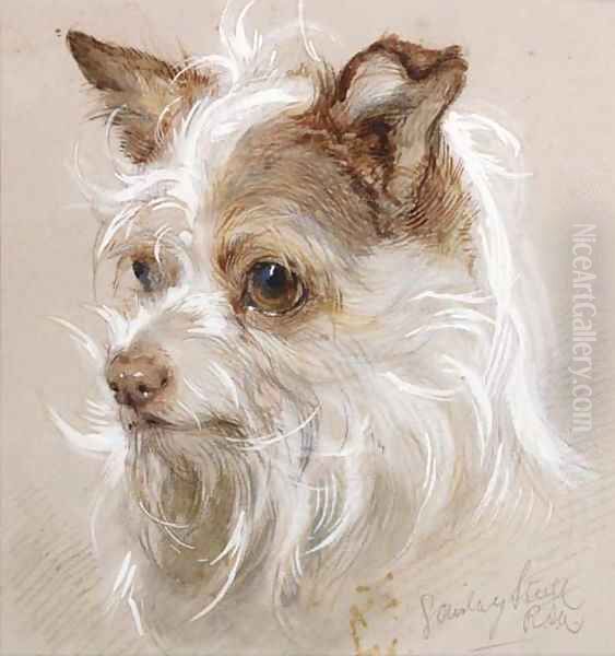 Mite, a terrier Oil Painting by Gourlay Steell