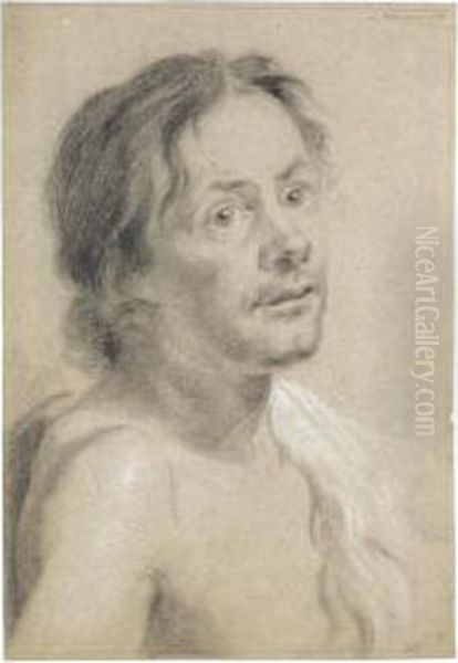 Study Of A Young Man, Head And Shoulders Oil Painting by Aert Schouman