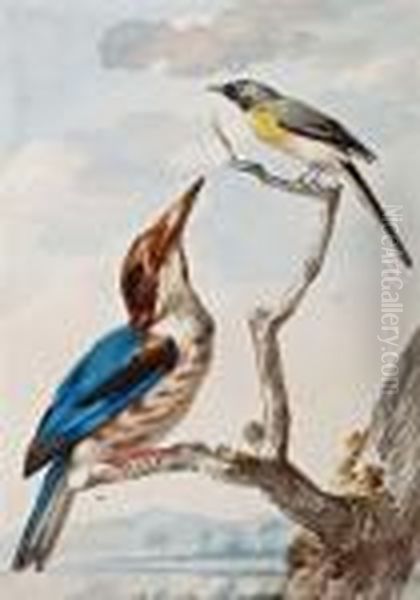 Twee Vogels Op Een Tak Oil Painting by Aert Schouman