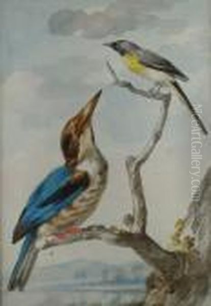 Zwei Vogel Oil Painting by Aert Schouman