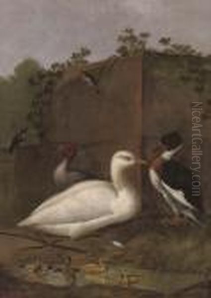 A Duck, A Mallard And Ducklings And Other Birds In A Clearing Oil Painting by Aert Schouman