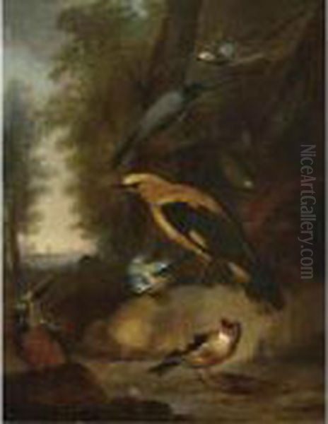 A Study Of A Golden Oriole, A 
Kingfisher, A Great Tit, A Bullfinch And Three Other Songbirds In A 
Landscape Setting Oil Painting by Aert Schouman