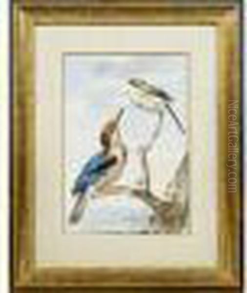 Oiseaux Sur Une Branche Oil Painting by Aert Schouman