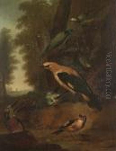 A Golden Oriel, A Kingfisher, A Blue Tit, A Goldfinch And Wagtails On A Forest Floor Oil Painting by Aert Schouman