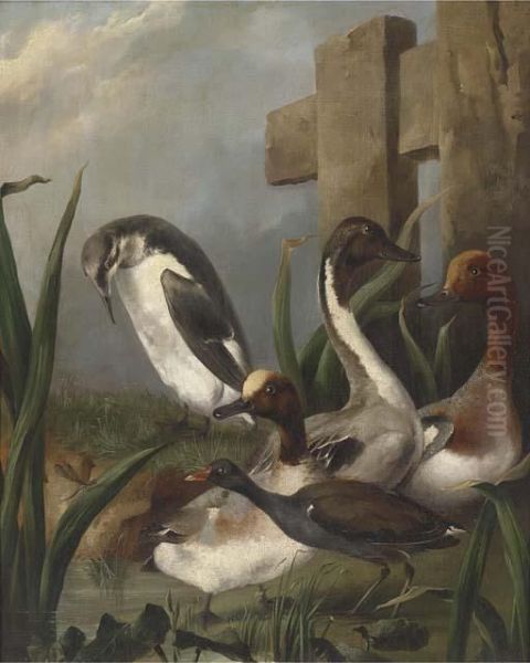 Ducks Oil Painting by Aert Schouman