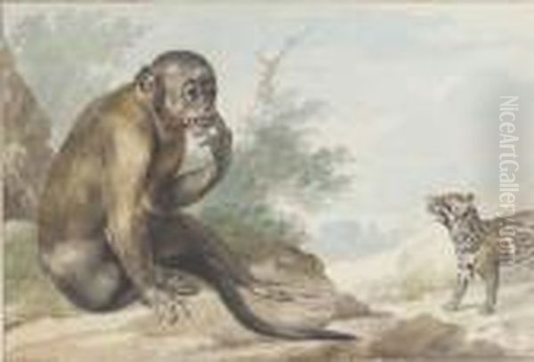 A Monkey Seated On A Rock Looking At A Civet Oil Painting by Aert Schouman