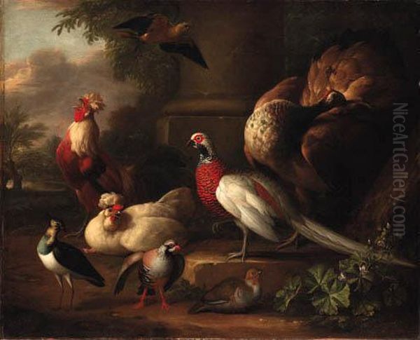 A Peacock, A Pheasant, A Cockerel And Other Birds In Alandscape
Bears Signature And Date 'a.schouman/1746' Oil Painting by Aert Schouman