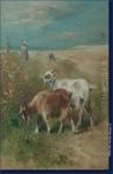 Chevres Dans Les Dunes Oil Painting by Henry Schouten