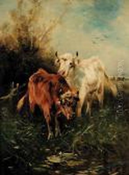 Untitled - Cattle Stopping Forwater Oil Painting by Henry Schouten