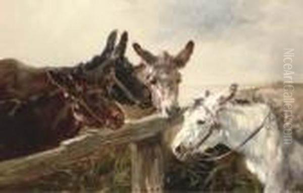 Donkeys Oil Painting by Henry Schouten