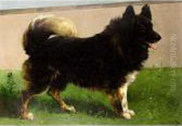 'keeshond' Oil Painting by Henry Schouten