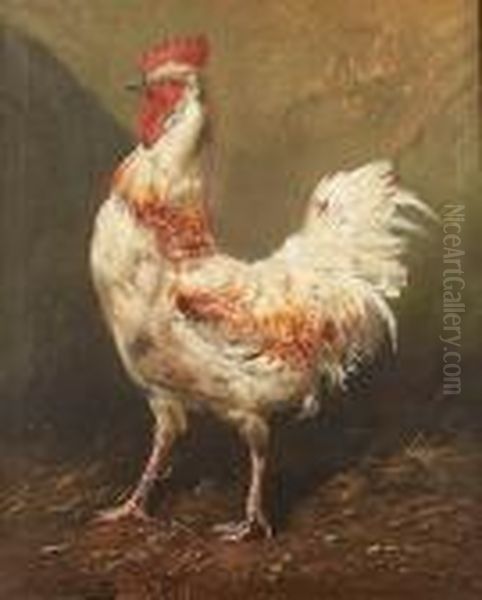 A Turkey; A Cockerel Oil Painting by Henry Schouten