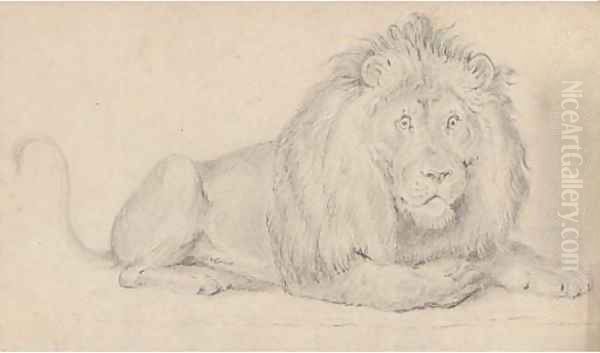 A lion Oil Painting by Alfred William Strutt