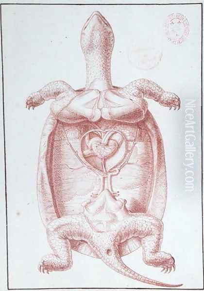 A Tortoise Oil Painting by Philippe Simoneau