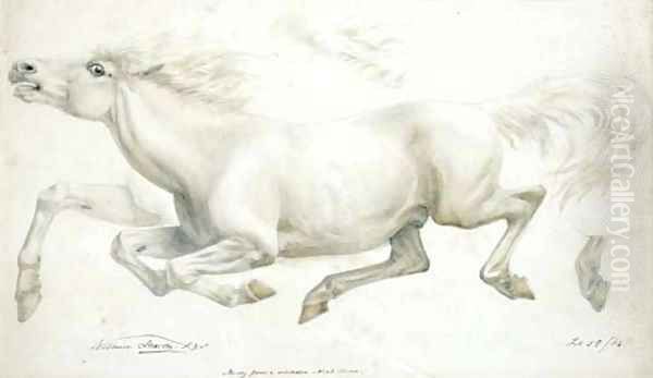 Study from a celebrated Arab Mare Oil Painting by William Strutt