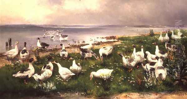 Geese Oil Painting by Alfred Schonian