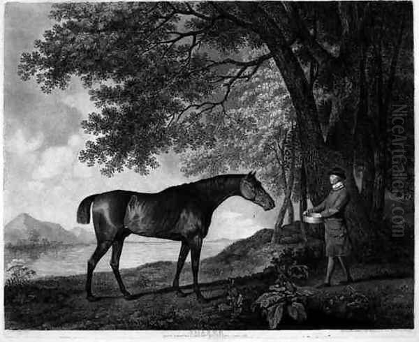 Sharke, engraved by George Townley Stubbs 1756-1815 pub. 1794 Oil Painting by George Townley Stubbs