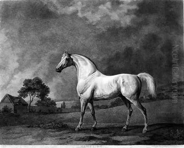 Mambrino, engraved by George Townley Stubbs 1756-1815 pub. 1794 Oil Painting by George Townley Stubbs