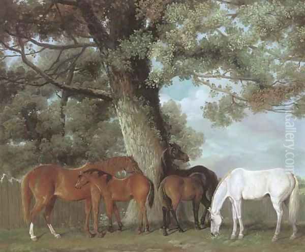 Mares and foals beneath a large oak tree Oil Painting by George Townley Stubbs