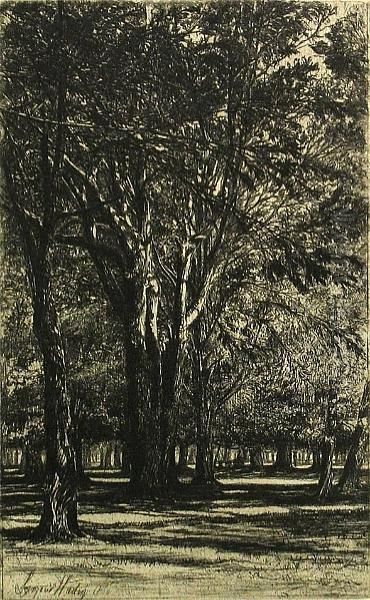 Kensington Garden, No. Ii (large Plate) (h. 28; S. 31), 1860 Oil Painting by Sir Francis Seymour Haden