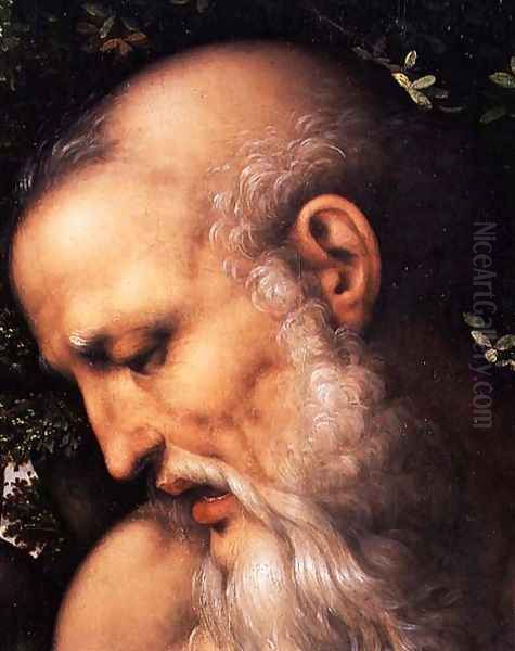 St. Jerome (detail of the saint's head) Oil Painting by Cesare da Sesto