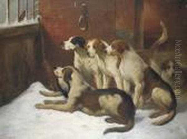 Hounds In A Kennel Oil Painting by Joseph Henry Sharp