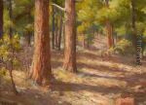 The Cococino Forest Pines by Joseph Henry Sharp