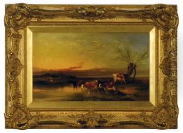 Cattle By A River At Sunset Oil Painting by William Joseph Shayer