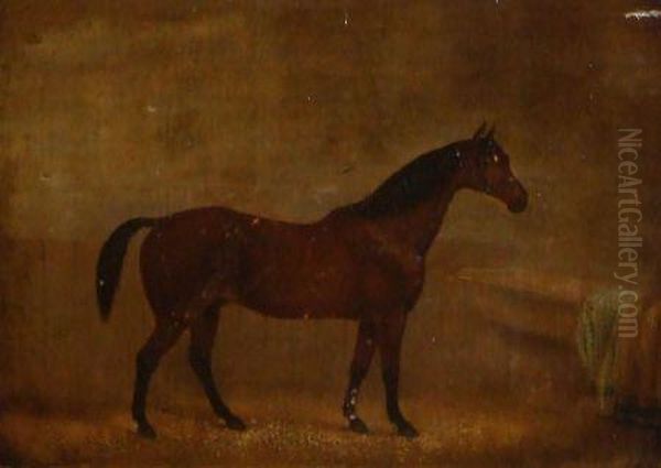 Racehorse In A Stable Oil Painting by William Joseph Shayer