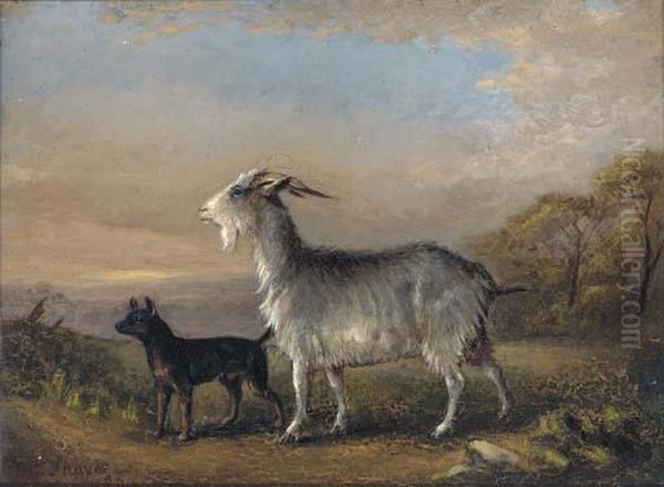 Dogs Resting By A Hay Stook; And A Goat And A Terrier In Alandscape Oil Painting by William Joseph Shayer