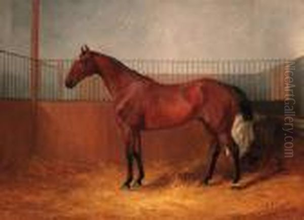 Blankey, A Bay Hunter In A Loosebox; And Harlequin, A Dapple Greyhunter In A Loosebox Oil Painting by William Joseph Shayer