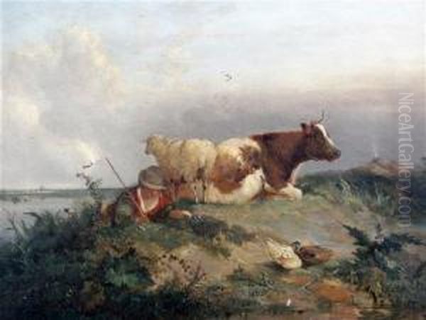 Youth, Sheep And A Cow Resting On A Bank Oil Painting by Snr William Shayer