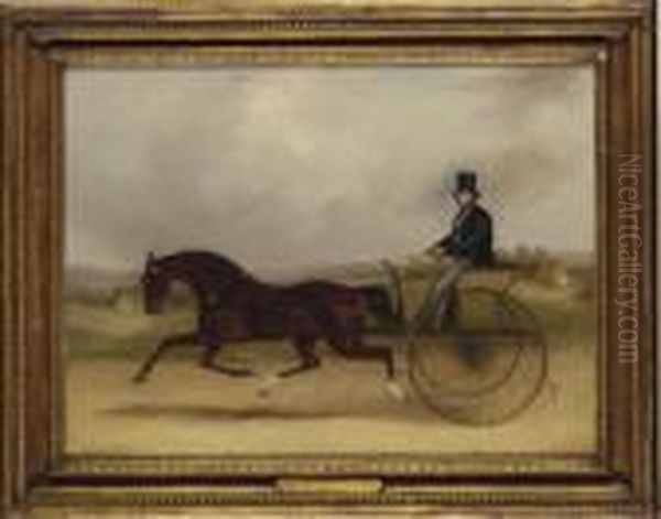 'confidence', A Celebrated American Trotter Performing A Match In Harness Oil Painting by Snr William Shayer