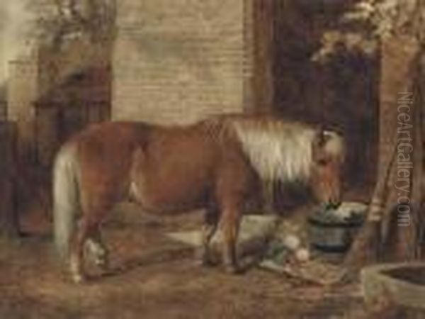 A Pony In A Stable Yard Oil Painting by Snr William Shayer