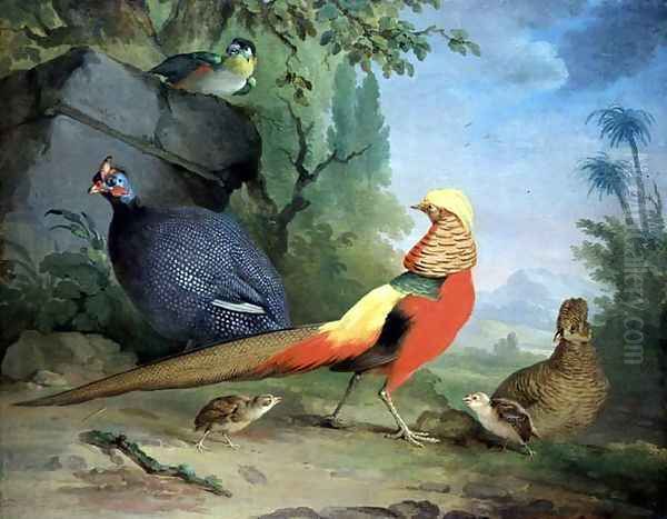 Wild Fowl Oil Painting by Aert Schouman