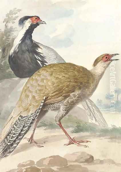 A brace of Pheasants, cock and hen Oil Painting by Aert Schouman