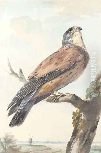 A Kestrel perching on a branch, a windmill beyond Oil Painting by Aert Schouman