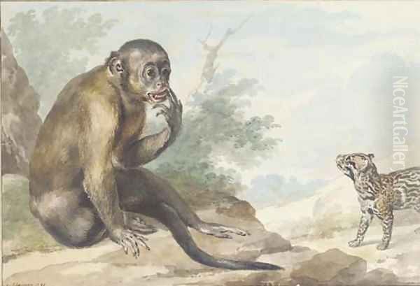 A monkey seated on a rock looking at a civet Oil Painting by Aert Schouman