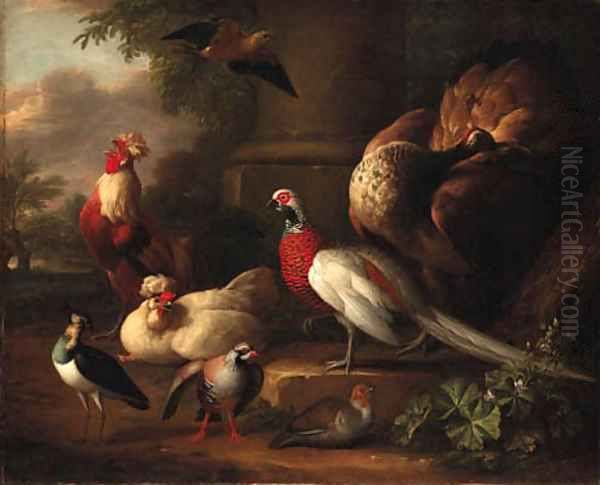 A peacock, a pheasant, a cockerel and other birds in a landscape Oil Painting by Aert Schouman