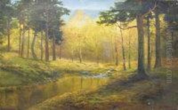 Autumn Woodland Oil Painting by Daniel Sherrin