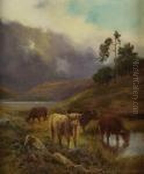 Highland Cattle Watering Oil Painting by Daniel Sherrin