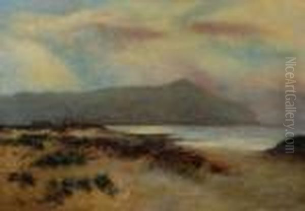 Coastalview Oil Painting by Daniel Sherrin