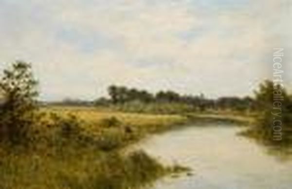 Summer Afternoon Fishing Oil Painting by Daniel Sherrin