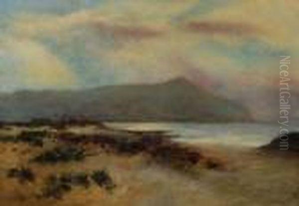 Coastal View Oil Painting by Daniel Sherrin